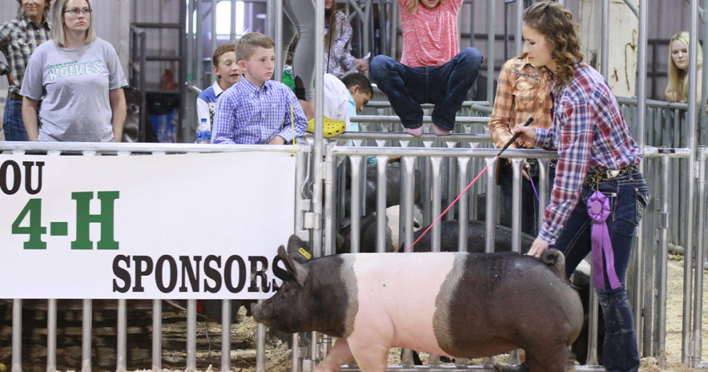Sweetwater County Fair May Go Virtual for 4-H, FFA Participants