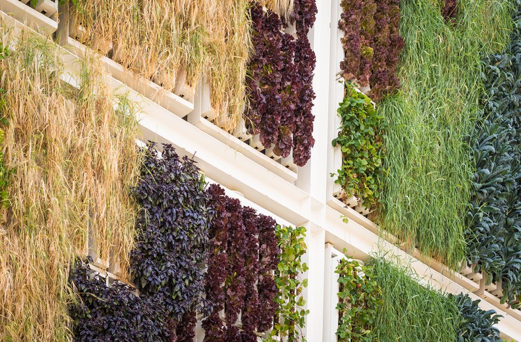 Rock Springs Main Street Awarded Farm Wall Grant By Wyoming Business Council