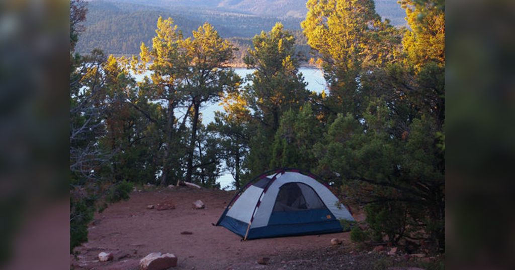 Ashley National Forest to Close State Line Cove Area for Two Weeks