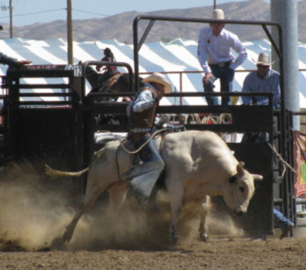 Team Wyoming Sits in Sixth After Wednesday Night