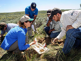UW Soil Research Helps Industry with Reclamation