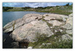 Some of the world’s best stromatolites
