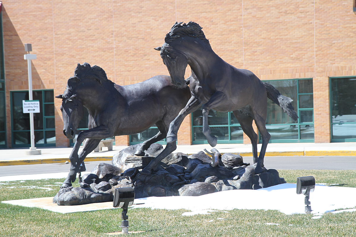 College Board Approves Emergency Sewer Project