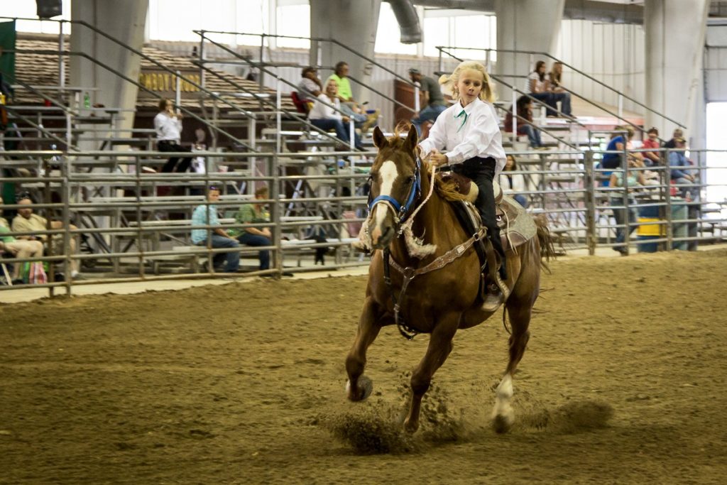 Wyoming Big Show Horse Results