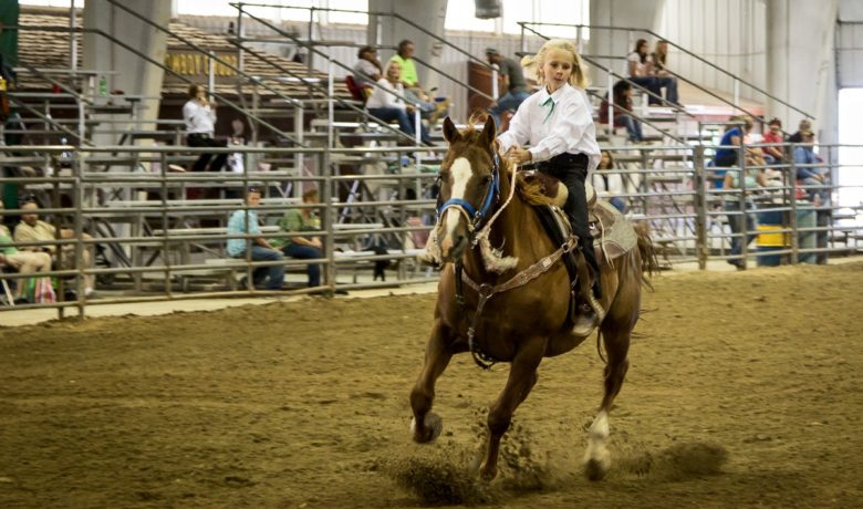 Wyoming Big Show Horse Results