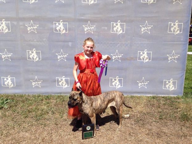 Sweetwater County Fair Board Announces Public Meeting to Discuss Expanding the Fair