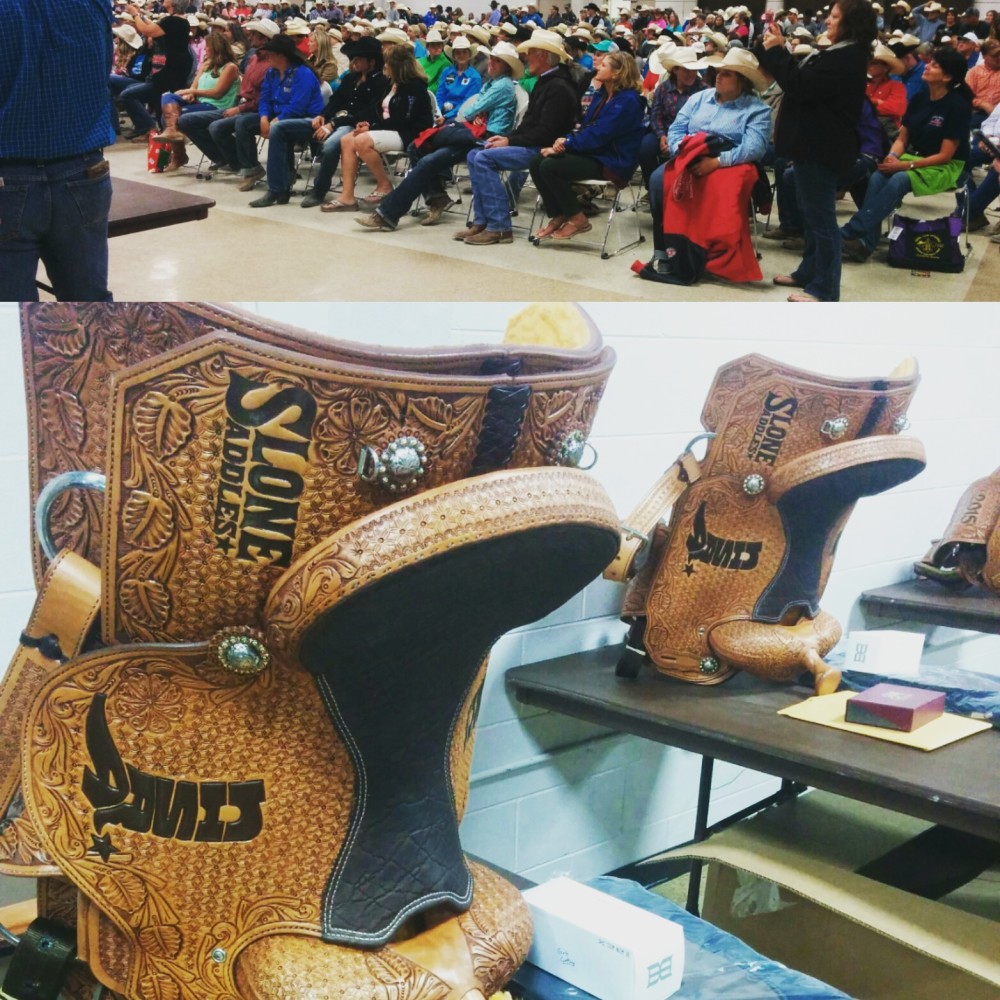 2015 NHSFR Team and All-Around Final Standings