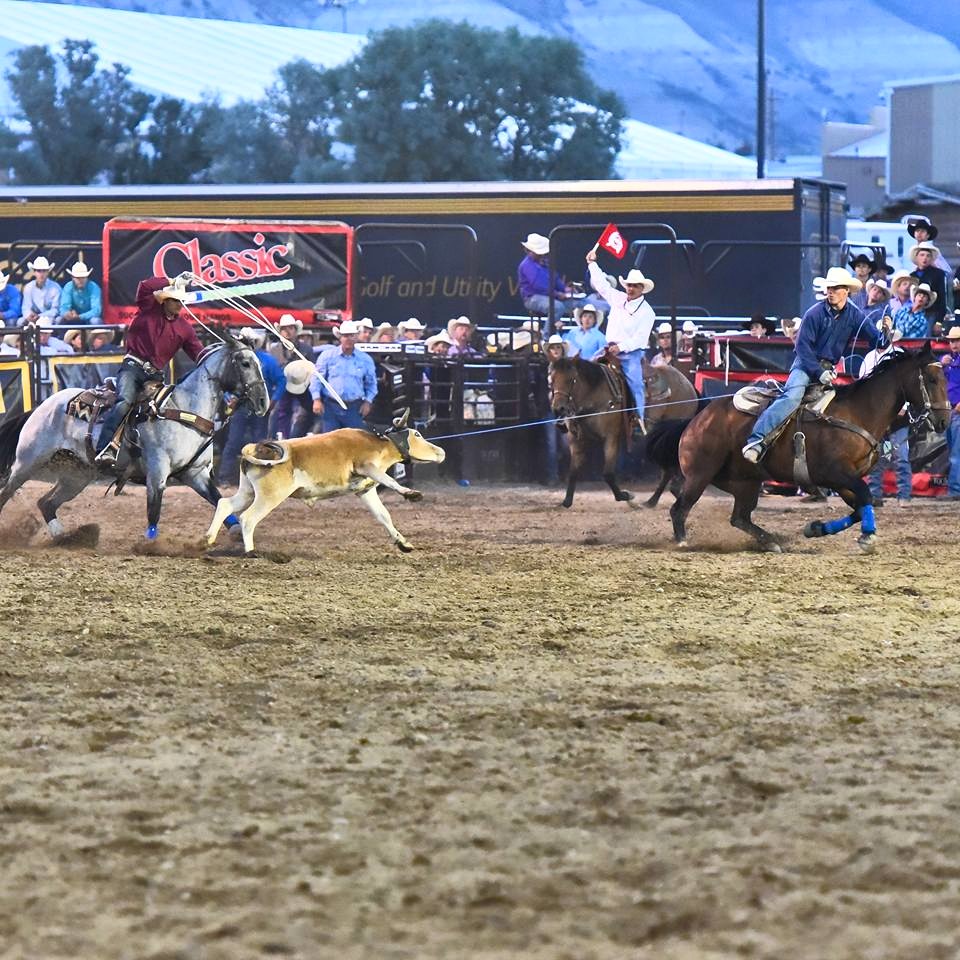 NHSFR Performance 6 Results