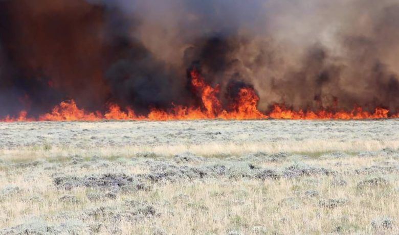 Fire Crews Working to Contain HWY 191 Fire Against Elements; No Cause Determined Yet