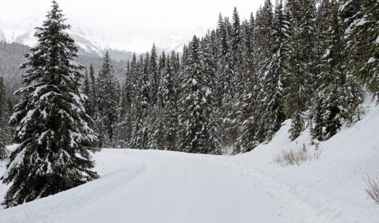 More Yellowstone Roads To Open