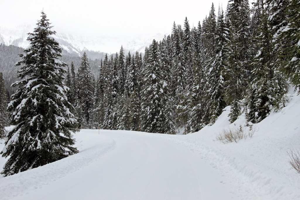 More Yellowstone Roads To Open