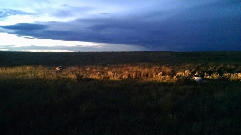 Pronghorn Antelope Poaching near Casper Grows to 50 Mile Long Crime Scene; Suspects appear to be firing an assault rifle across lane of traffic while traveling in red or maroon Nissan SUV
