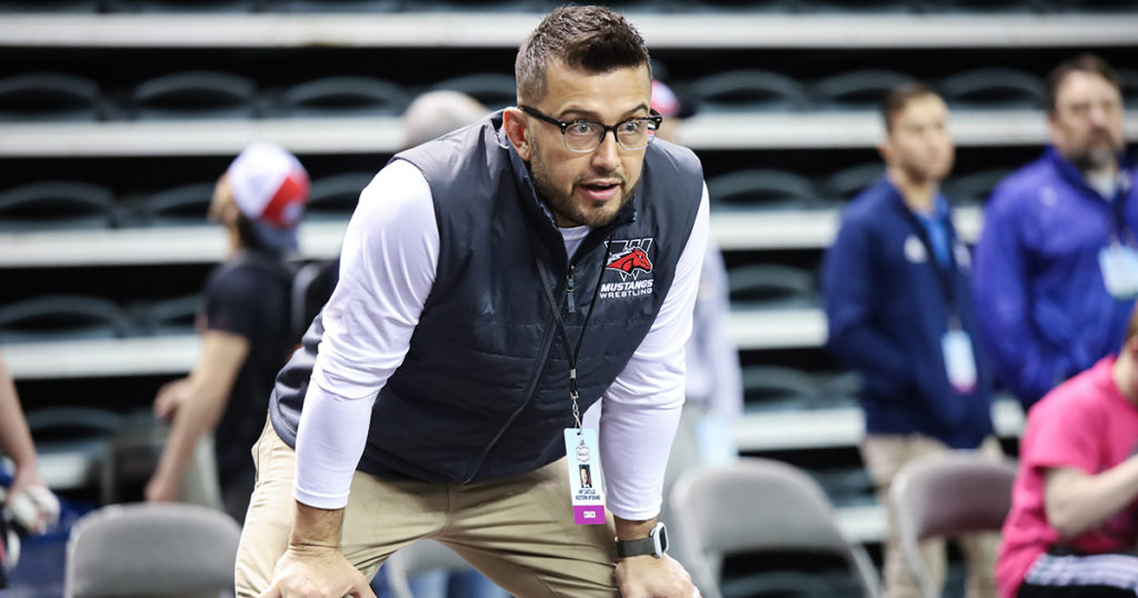 A New Breed of Mustangs