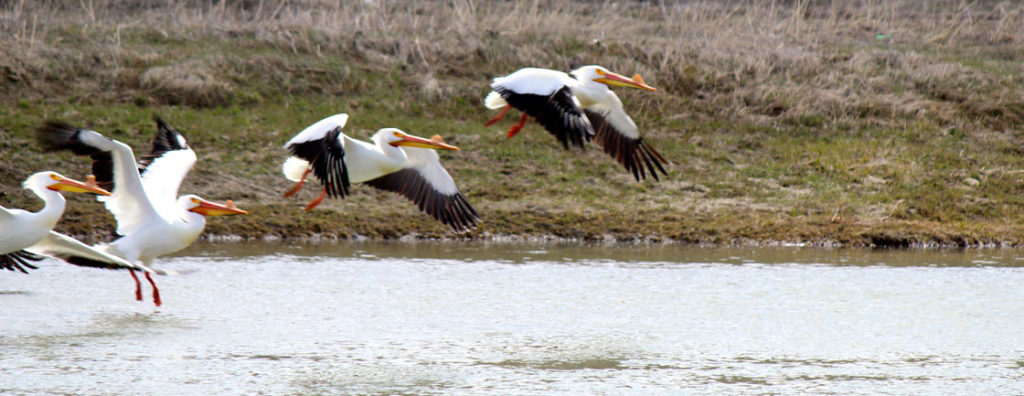 Community Photos: Taking Flight