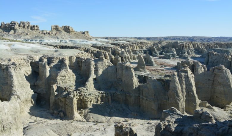 Commission Opts Out of Land Initiative