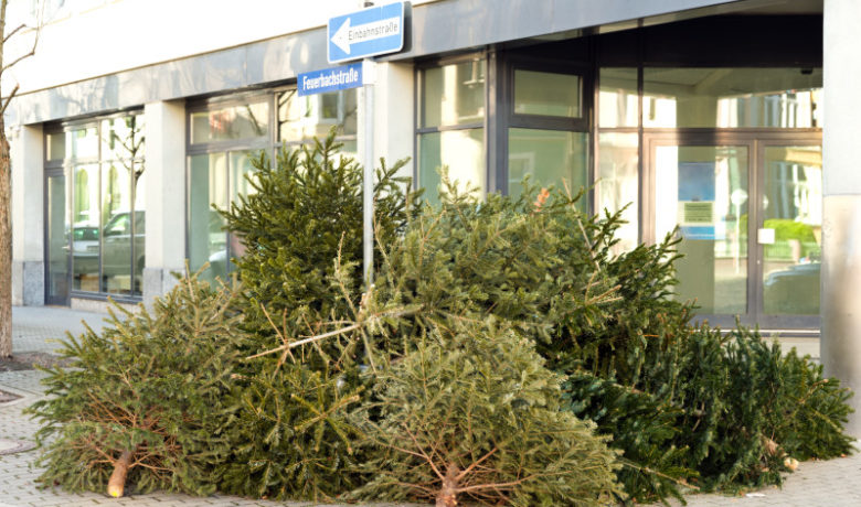 Give Christmas Trees to the RS Parks Department This Year