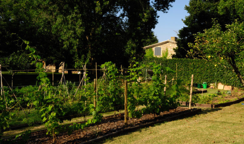 Putting the Garden to Bed