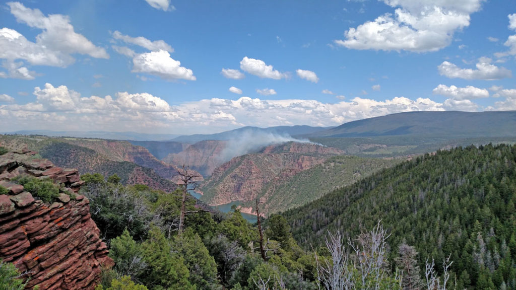 Prescribed Burns Continue in Ashley National Forest