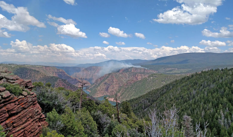 Prescribed Burns Continue in Ashley National Forest