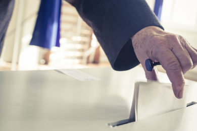 School Board Elections Offer Many Choices in November