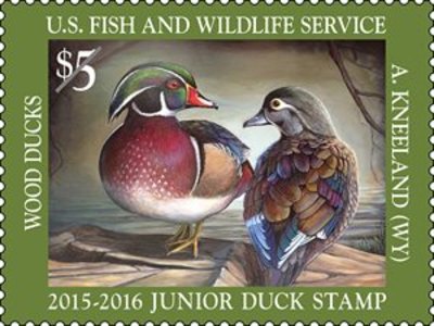 Local Teen’s Art Adorns New Duck Stamp