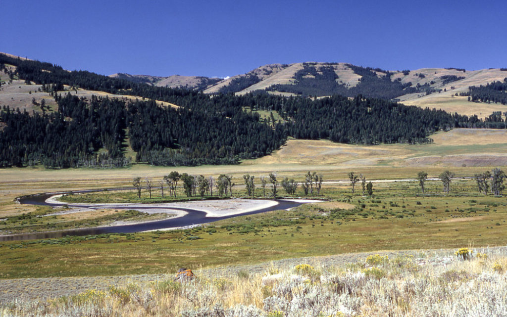 Volunteer for National Public Lands Day Projects in Yellowstone
