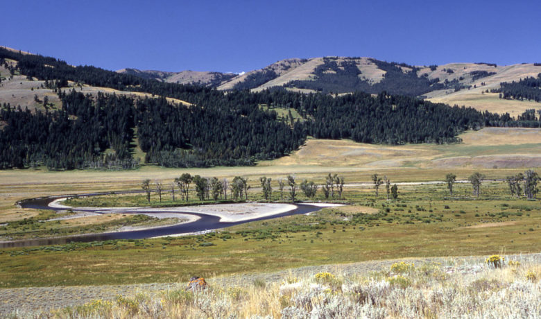 Volunteer for National Public Lands Day Projects in Yellowstone