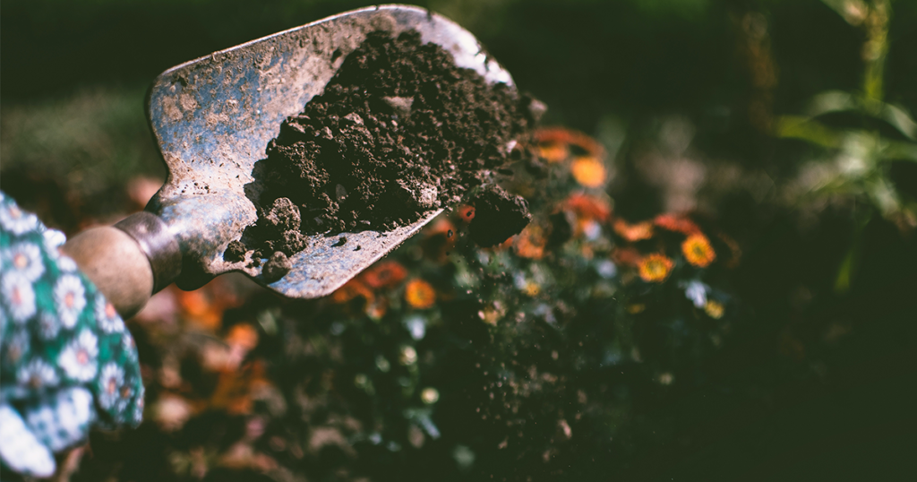 Plant a Tree During Arbor Day in Rock Springs