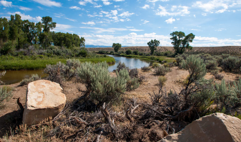 Governor Mead Announces Members of Fish and Wildlife Task Force
