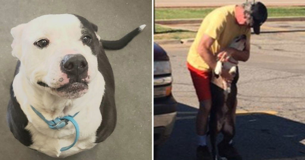 Blu’s Long Journey Home