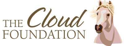 Cloud Foundation Claims Mixed Victory in Wild Horse Court Case