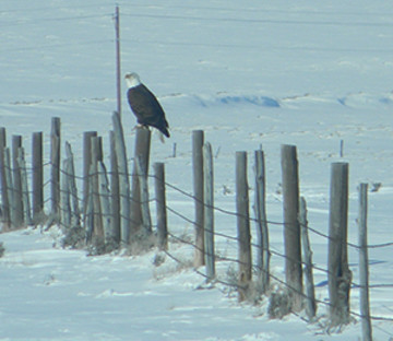 DEQ to begin operation of new monitoring station