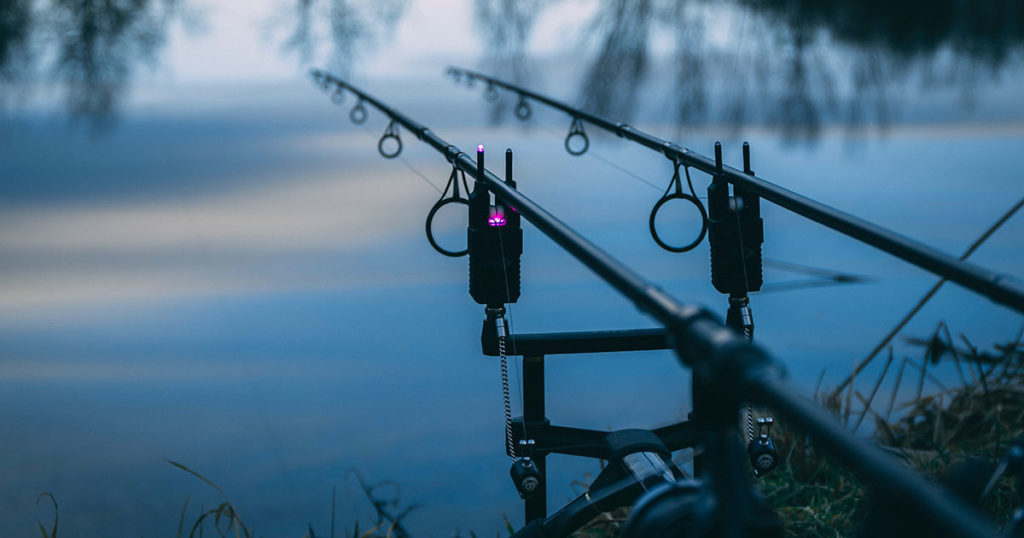Non-Resident Fishing Licenses to Resume Sales, Turkey Hunting Season Extended