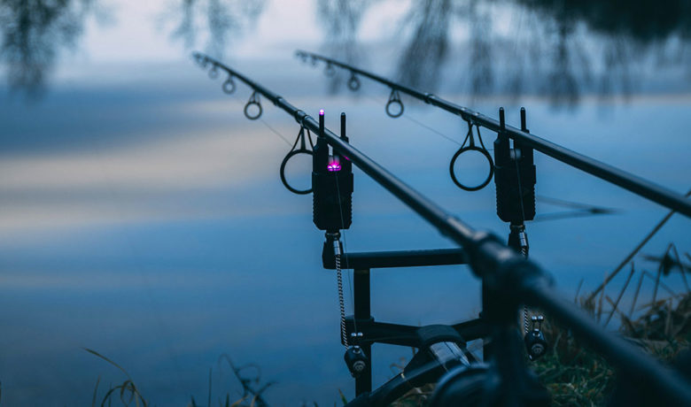 Non-Resident Fishing Licenses to Resume Sales, Turkey Hunting Season Extended