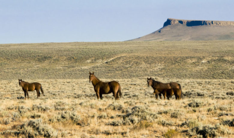 BLM reminds citizens of Resource Management Plan schedule