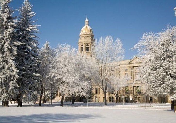 Several bills of interest including minimum wage bill and Nyx’s Law defeated