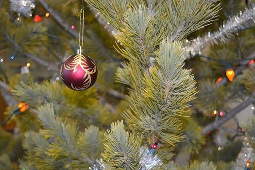 BLM is now offering Christmas tree permits for sale.