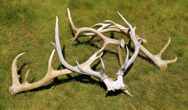 Dubois Area Open to Outdoorsmen May 16; Users Reminded to Obey Signs