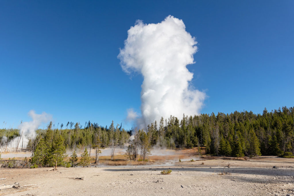 Yellowstone to Reopen on Limited Basis on May 18