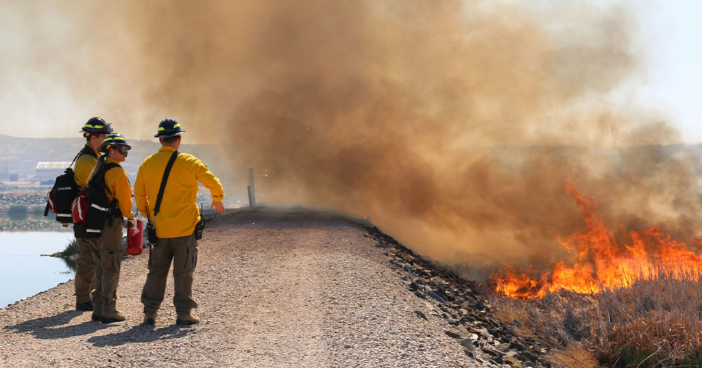 Firefighters Use Prescribed Burn Exercise for Training