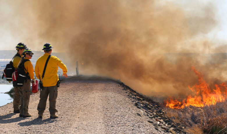 Firefighters Use Prescribed Burn Exercise for Training