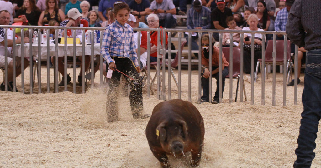 Sweetwater and Daggett County Fair Schedule Announced