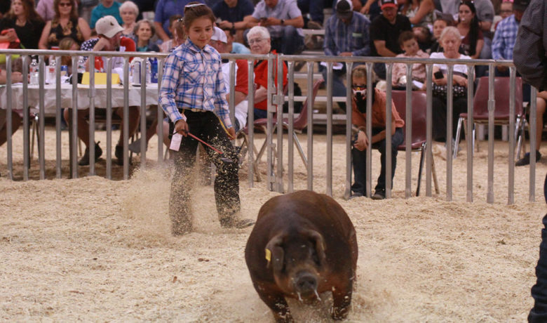 Sweetwater and Daggett County Fair Schedule Announced