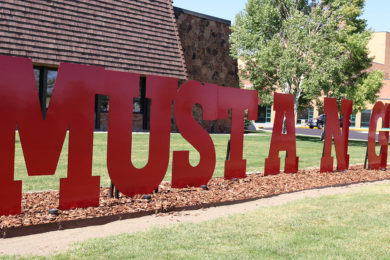 Community Submission: Questioning College’s Acts Prior to Killing Volleyball Program