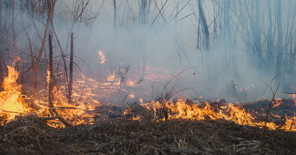 Fire Crews Unite to Extinguish 2 Fires