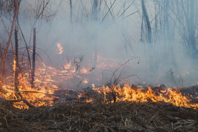 Fire Restrictions Not Needed for Now