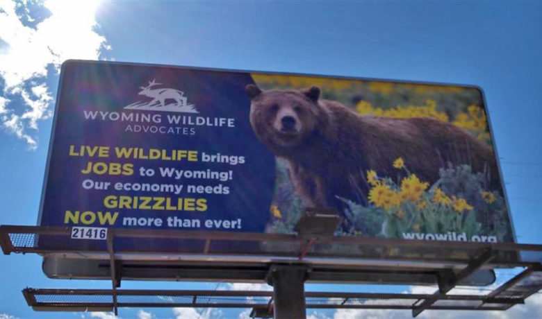 OPINION: Wyoming Wildlife Advocates New Billboard Highlights Economic Importance of Wildlife