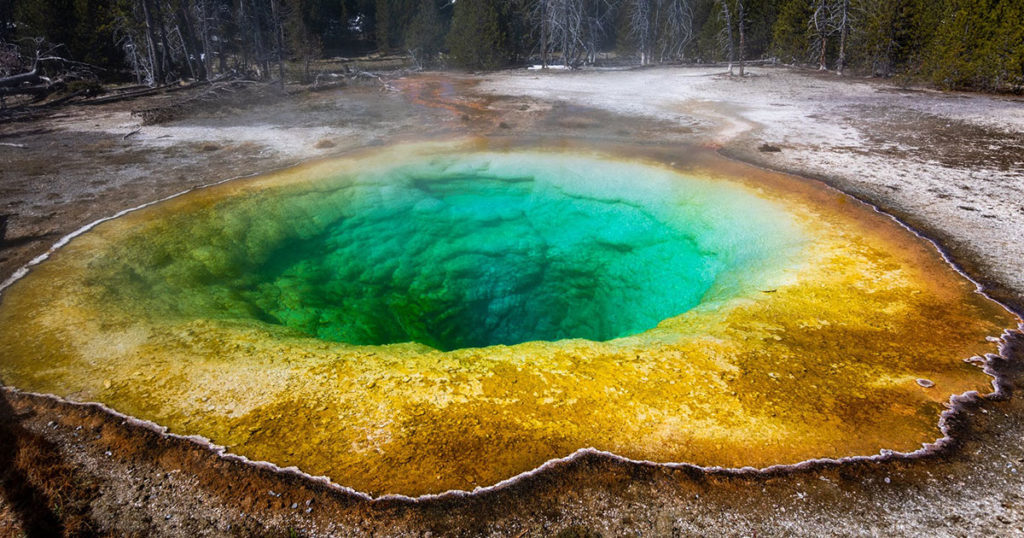 Yellowstone National Park Opens All Entrances Today