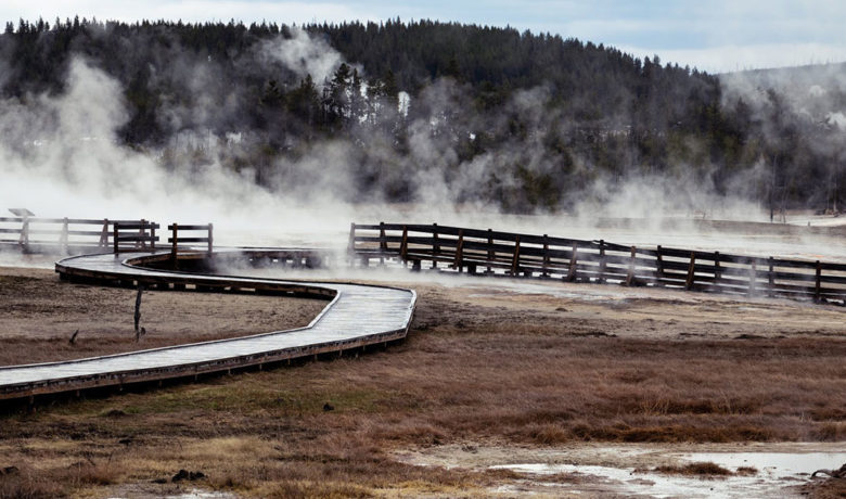 Two Women Sentenced for Yellowstone National Park Violations