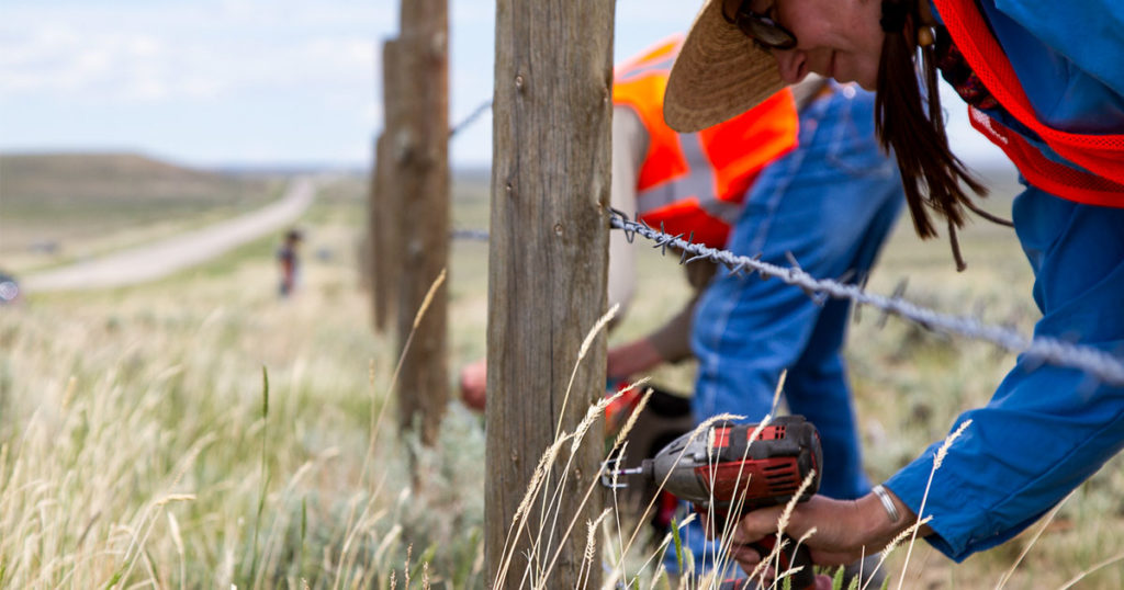 Volunteers Improve Fencing to Help Pronghorn Move Across Highway 28